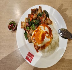 カオ・ガパオ・ムーグローブ（ข้าวกะเพราหมูกรอบ）