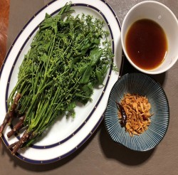 サダオ・ナンプラー・ワーン（สะเดาน้ำปลาหวาน）