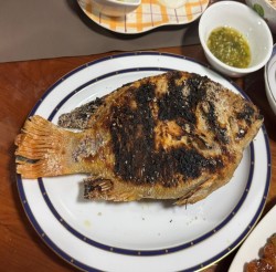 プラーパオ（ปลาเผา）