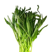 パックブン（空心菜）