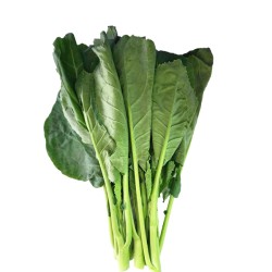 パッカナー（カイラン菜）