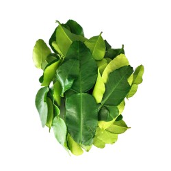 バイマクルー（コブミカンの葉）