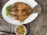 プラーガポントードナンプラー