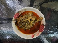 ゲーンテーポー